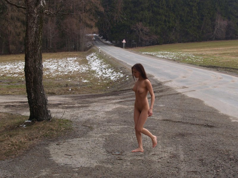 Дом у дороги обнаженка