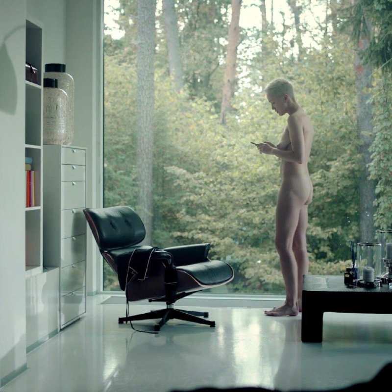 Vitra eames lounge chair