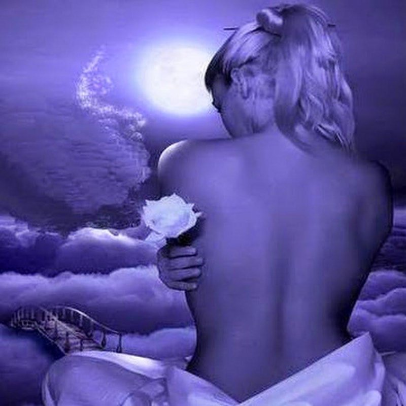 Ласковой ночи