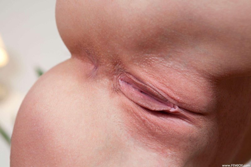 Розовые пионы