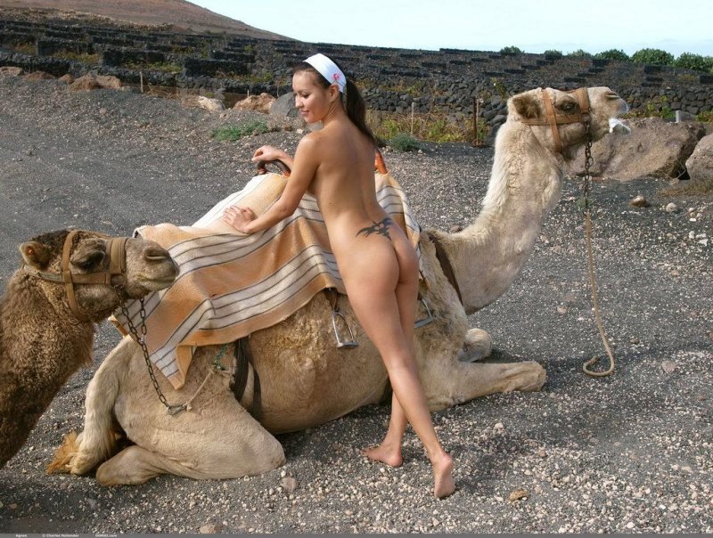 Сексуальное бикини