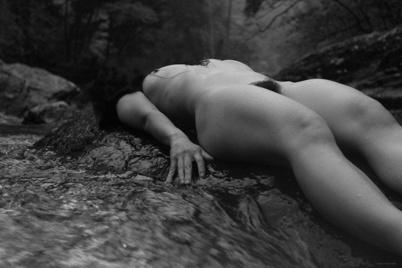 Художественная эротика