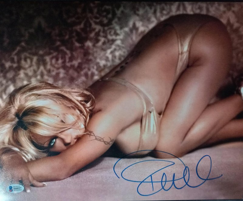 Памела андерсон +