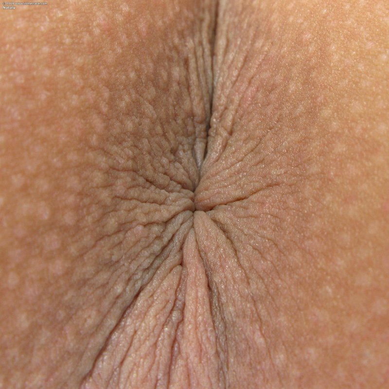 Красивые голые женские анусы
