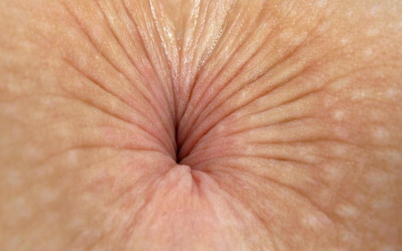 Женские анус