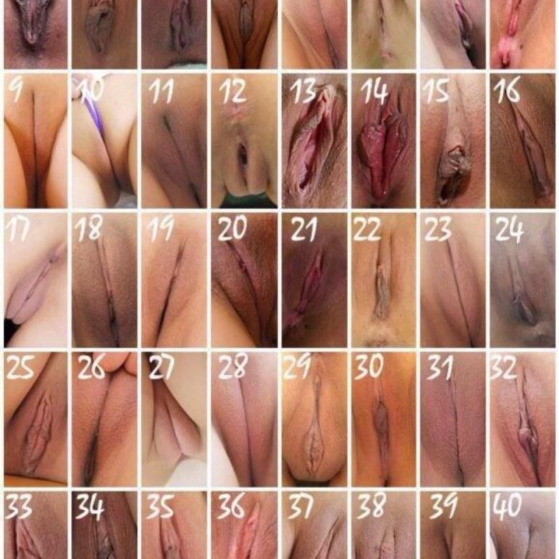 Расположение влагалища