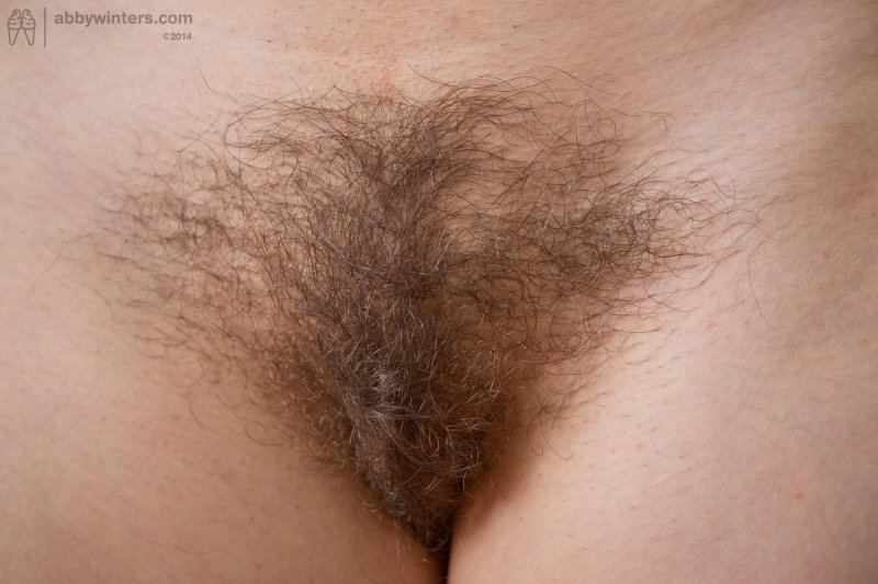 Волосатая киска