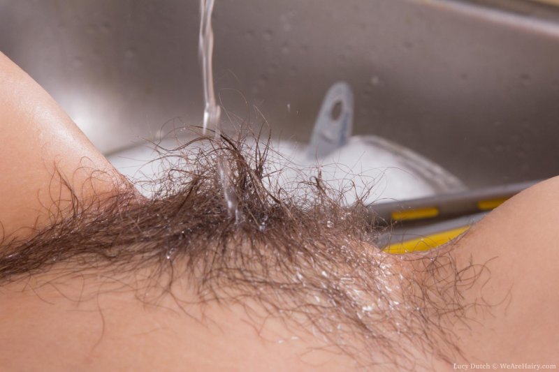 Волосатые сиси