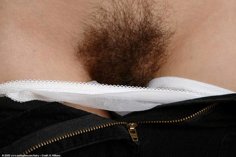 Волосатая лобок