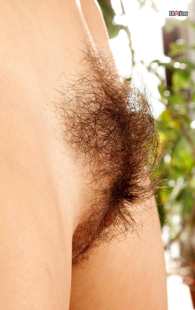 Красивые волосатые женские лобки