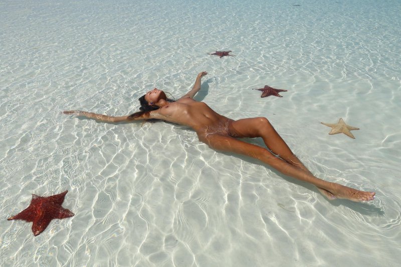 Морская звезда