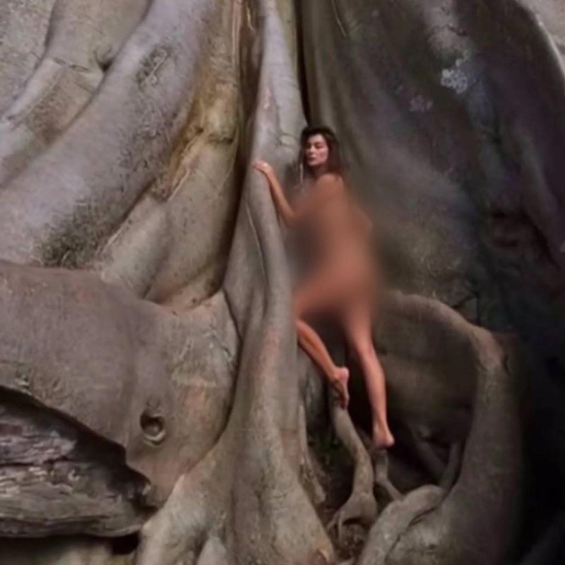 Алина фазлеева бали дерево