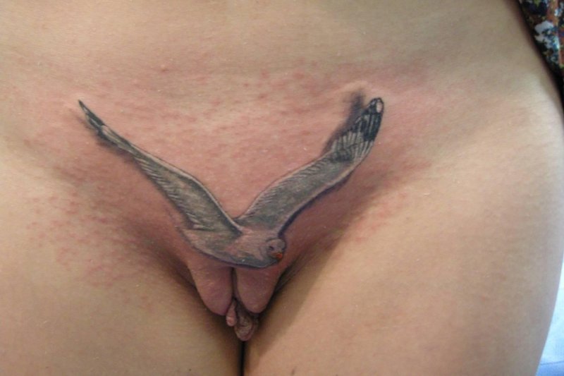 Тату на писе