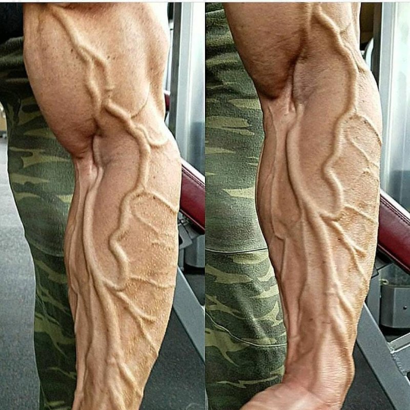 Большие вены