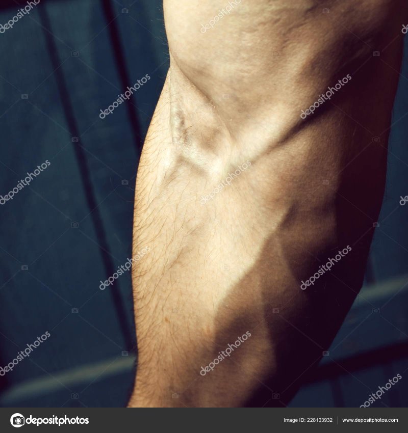 Мужская рука с венами