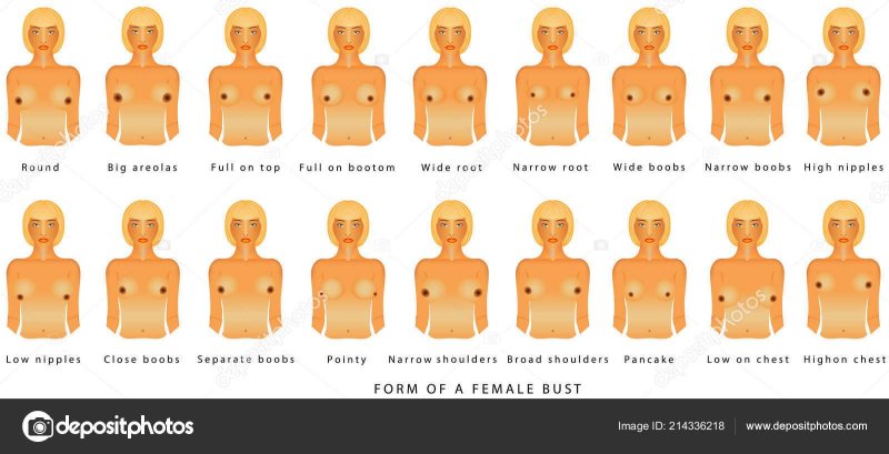 Разные формы женской груди