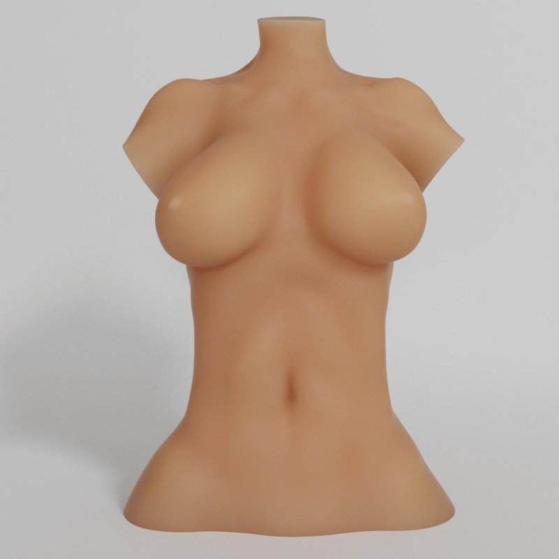 Женский торс