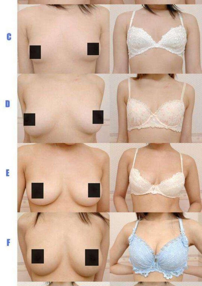 Размер груди наглядно