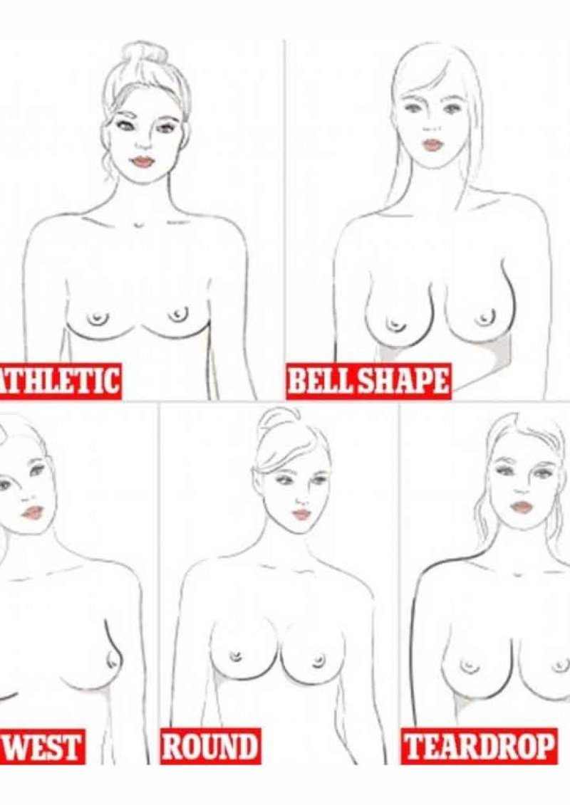 Виды форс женской груди