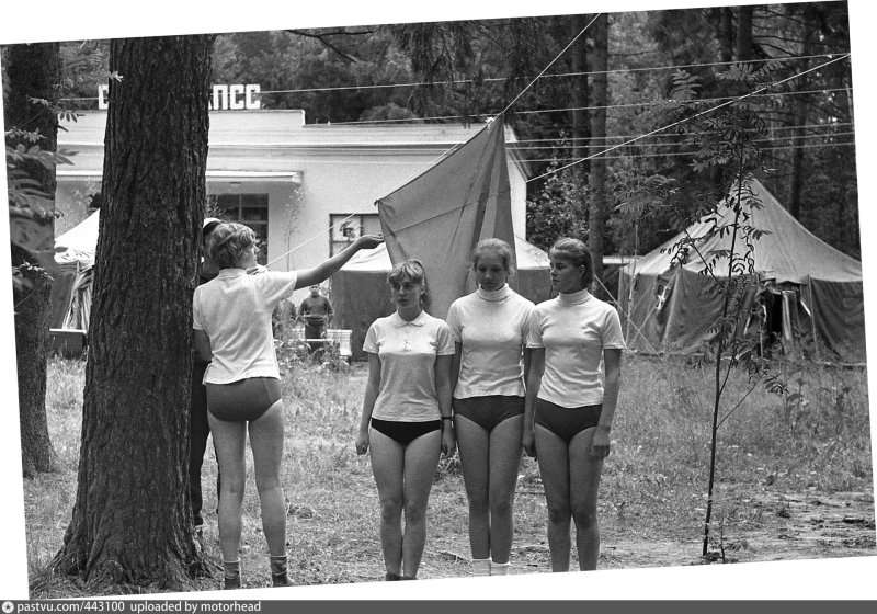 . спортивно-оздоровительный лагерь «фирсановка».