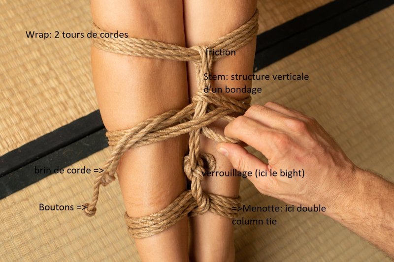 Шибари обвязка