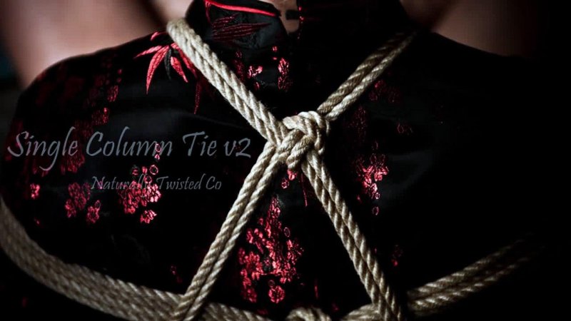 Шибари эстетика