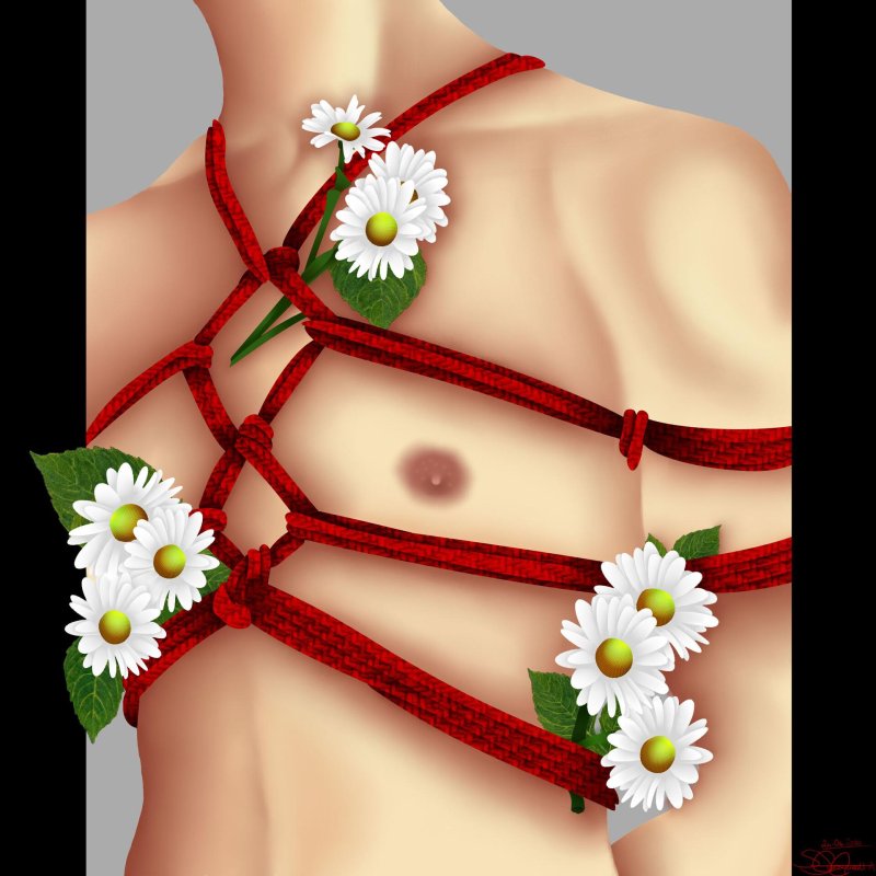 Aaron mcpolin шибари