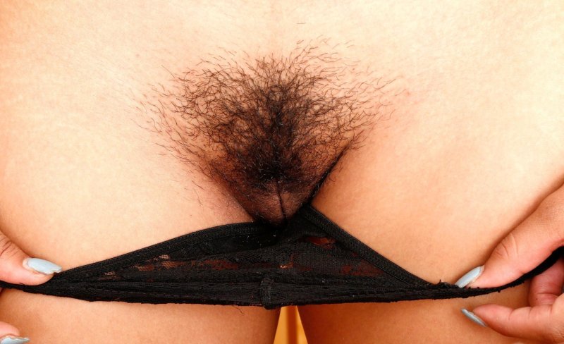 Волосатая киска под трусиками
