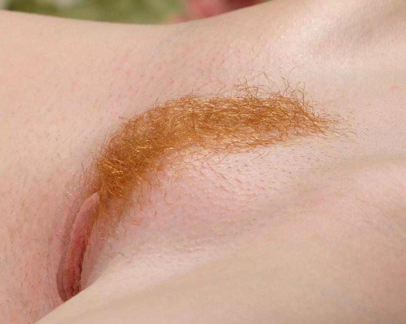 Рыжие волосы на женских лобках
