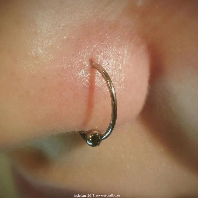 Два прокола крыла носа