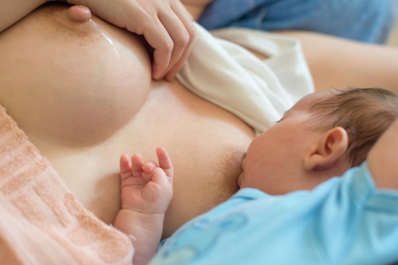 Молочные мамки