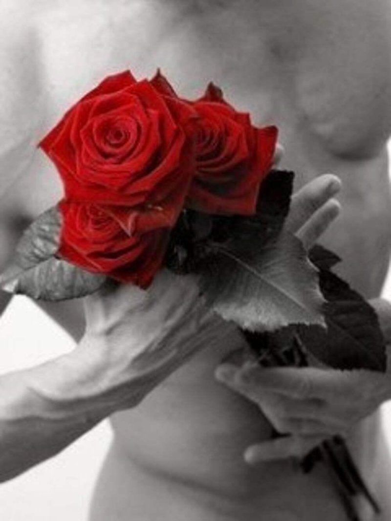 Мемы с розами