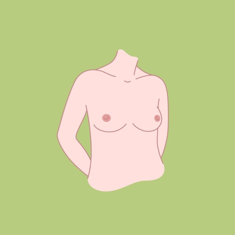 Грудь форма