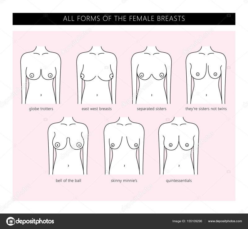 Груди разного размера