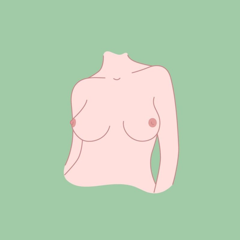 Виды женской груди