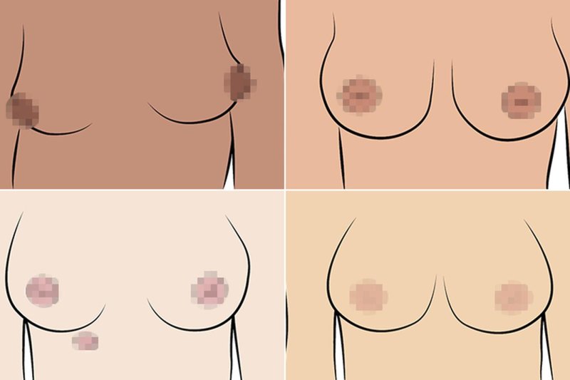 Женская грудь разного размера