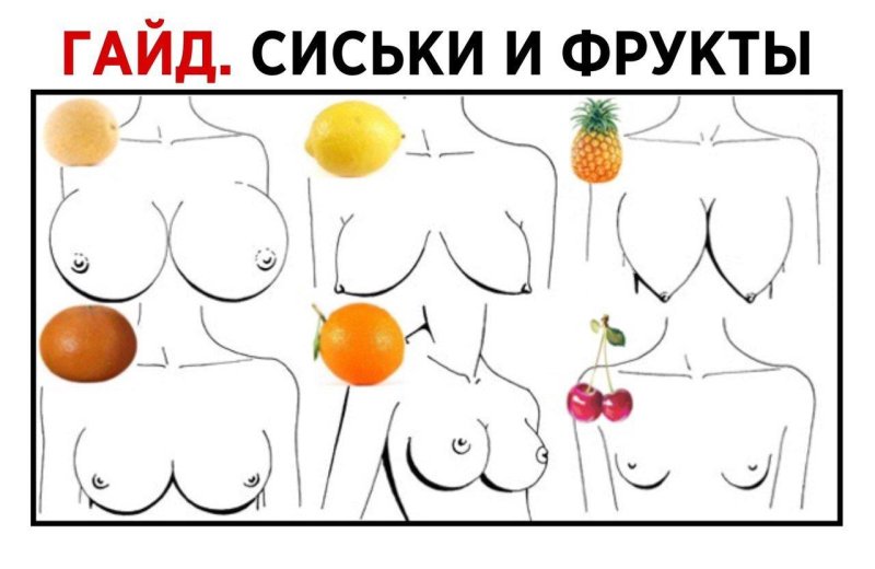 Формы женских сисек