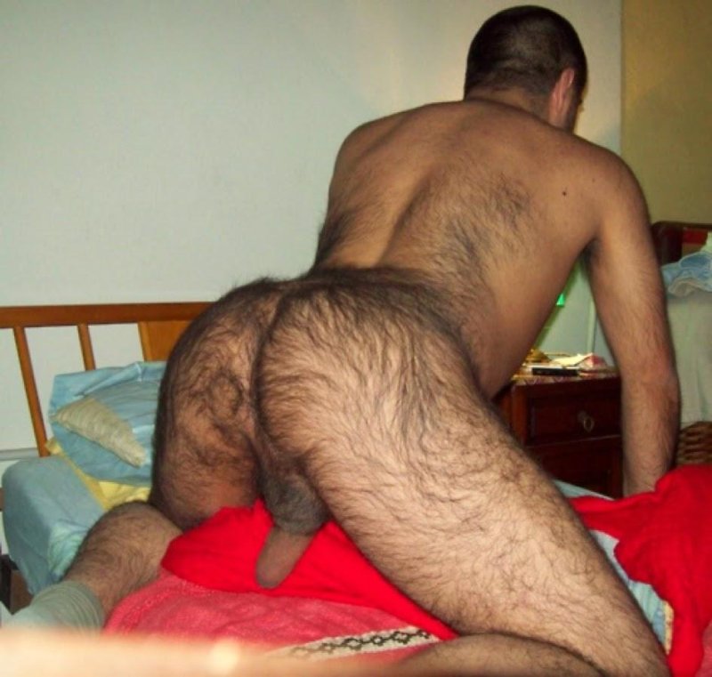 Волосатая мужская жопа