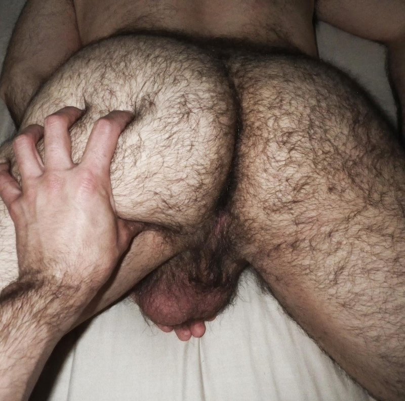 Мужская волосатая задница