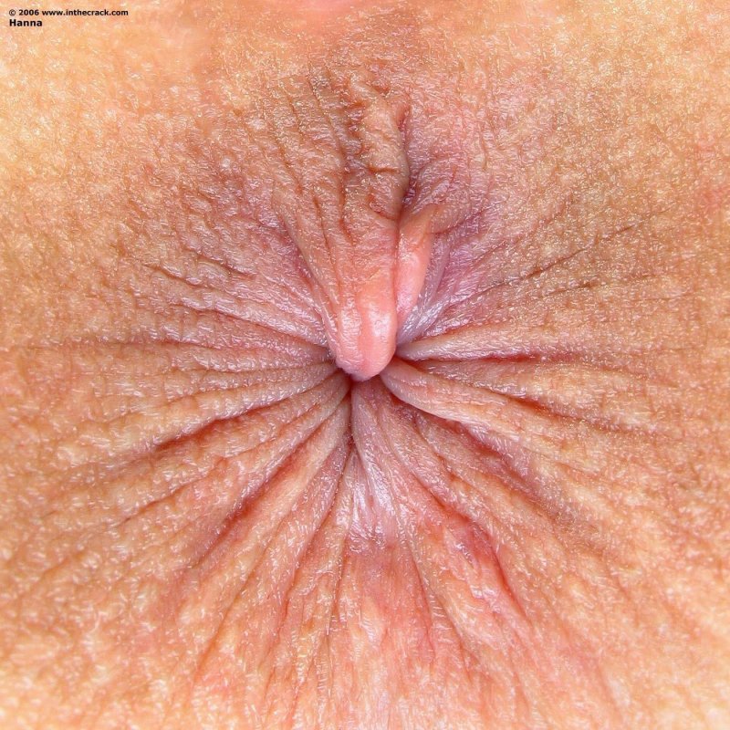 Женские анус