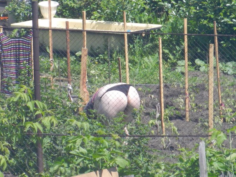 В огороде раком