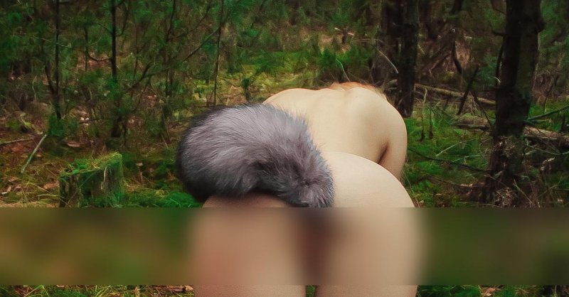 Лисий хвост