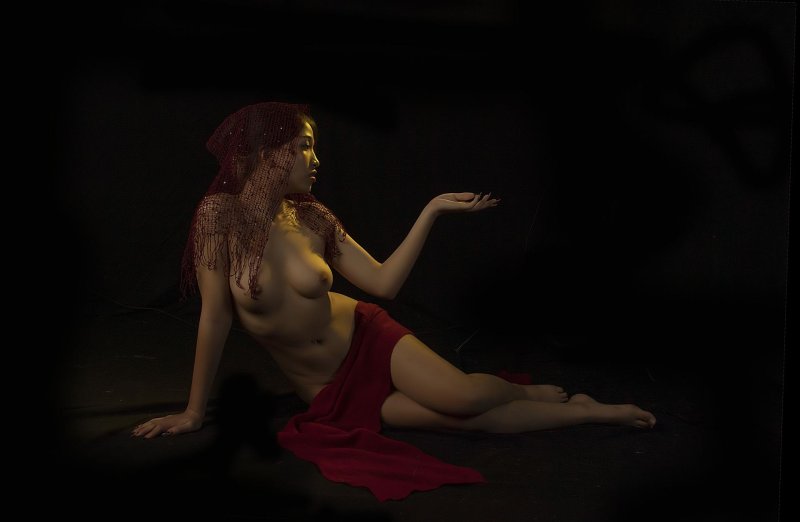 Художественная эротика