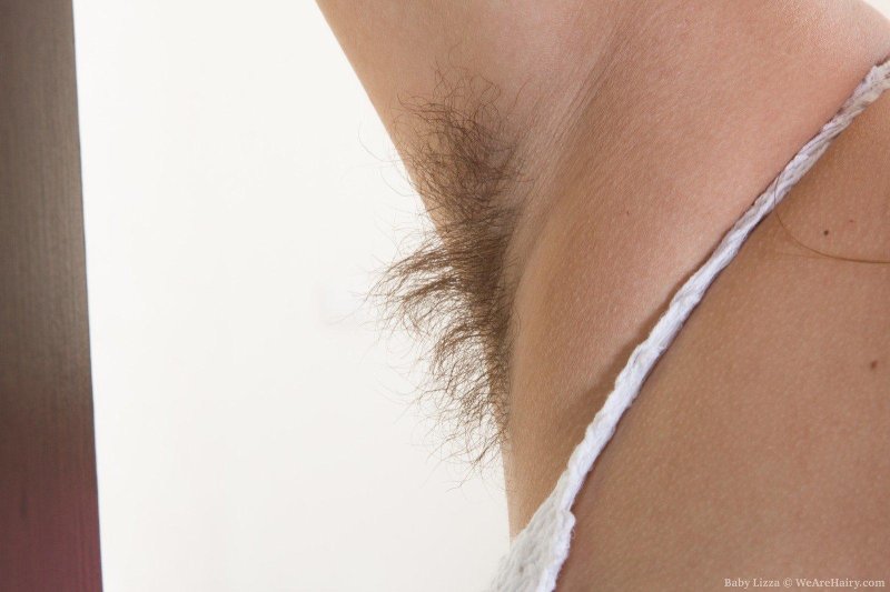 Волосатая лобок