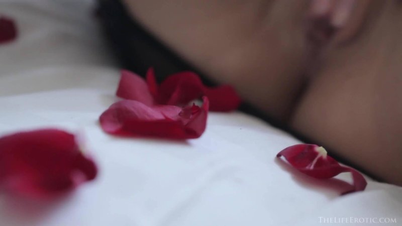 Цветок розы