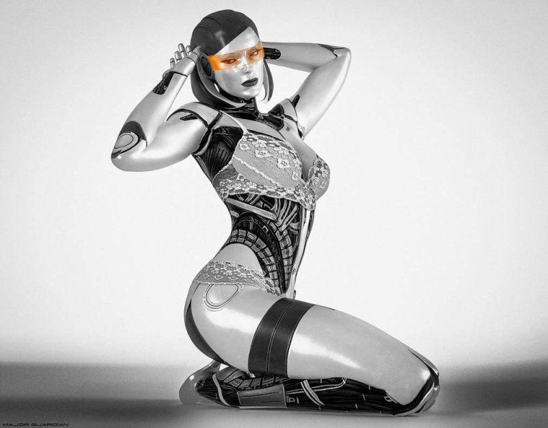 Сексуальные роботы