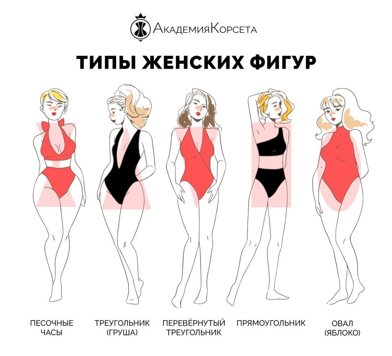 Женская фигура типы