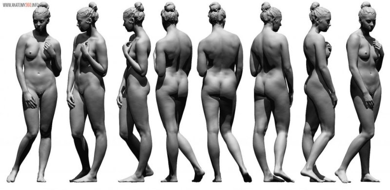 Голые женщины с разных сторон