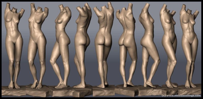 Модель женского тела