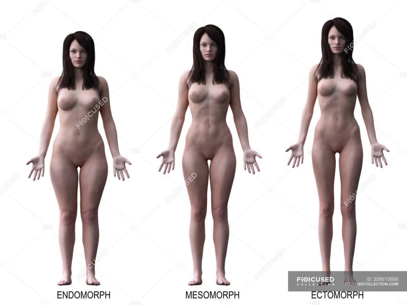 Анатомия женщины без одежды